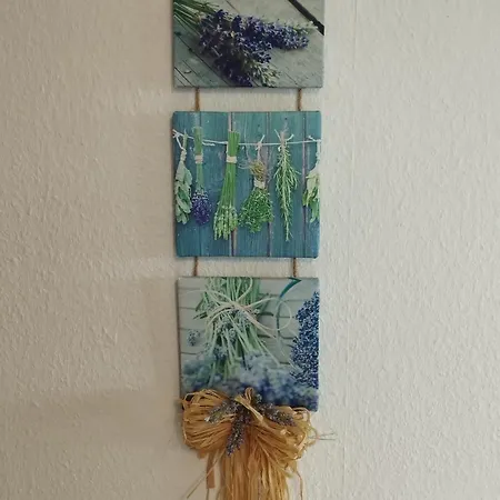 Spatzennest Apartamento