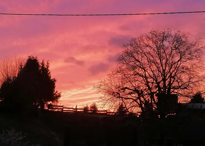 Spatzennest Apartament